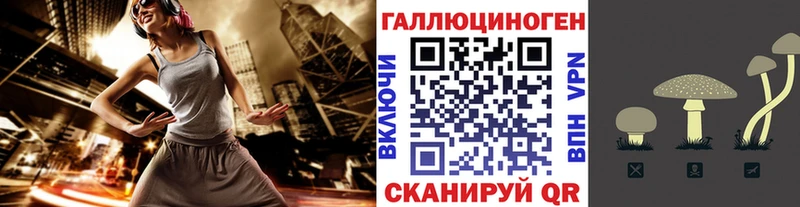 Галлюциногенные грибы Psilocybe  Троицк 