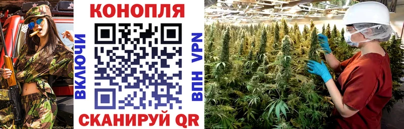 где продают наркотики  Троицк  МАРИХУАНА планчик 